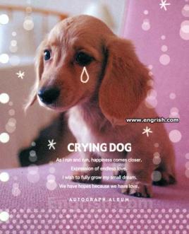 crying-dog